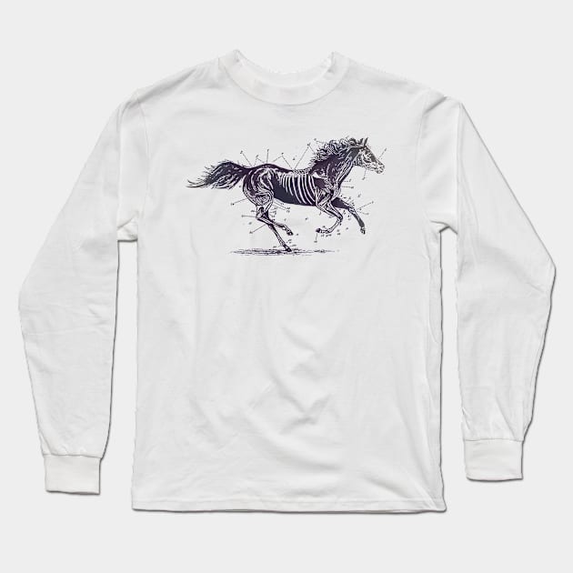 troubadours horse Long Sleeve T-Shirt by StoneSoccer